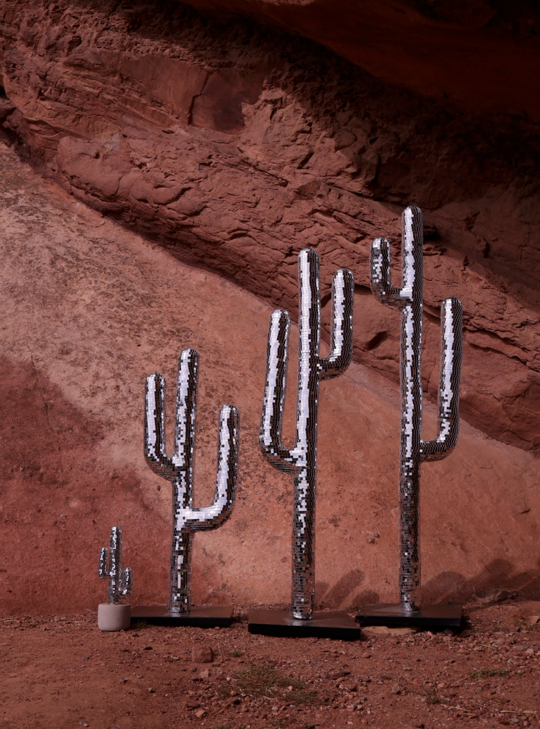 Disco Cactus