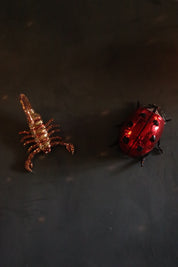 Disco Bugs - Event Rental