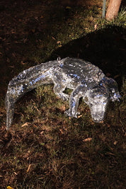 Disco Alligator