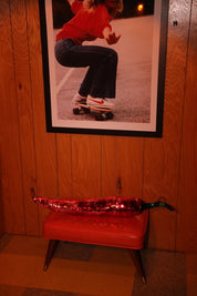 Disco Pepper - Event Rental