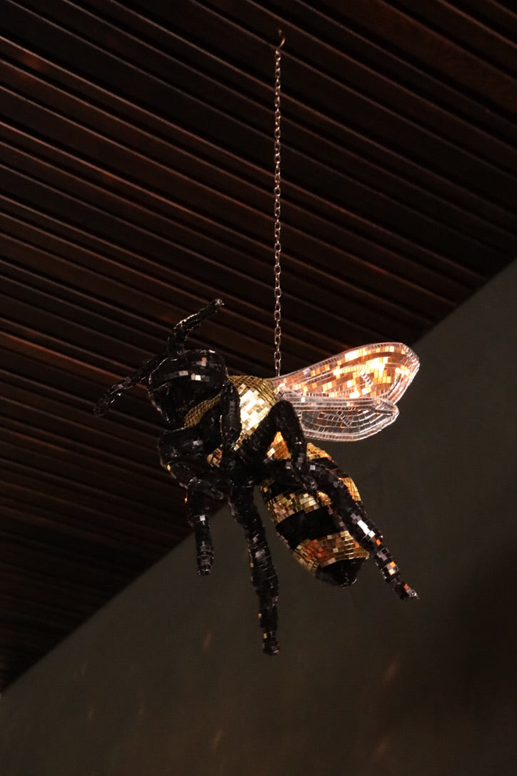 Disco Bugs - Event Rental