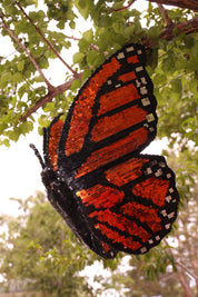 Disco Monarch Butterfly