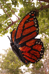Disco Monarch Butterfly
