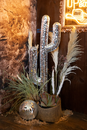 Disco Cactus - Event Rental