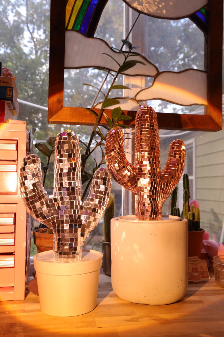 Mini Disco Cactus
