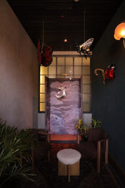 Disco Bugs - Event Rental