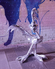 Disco Roadrunner