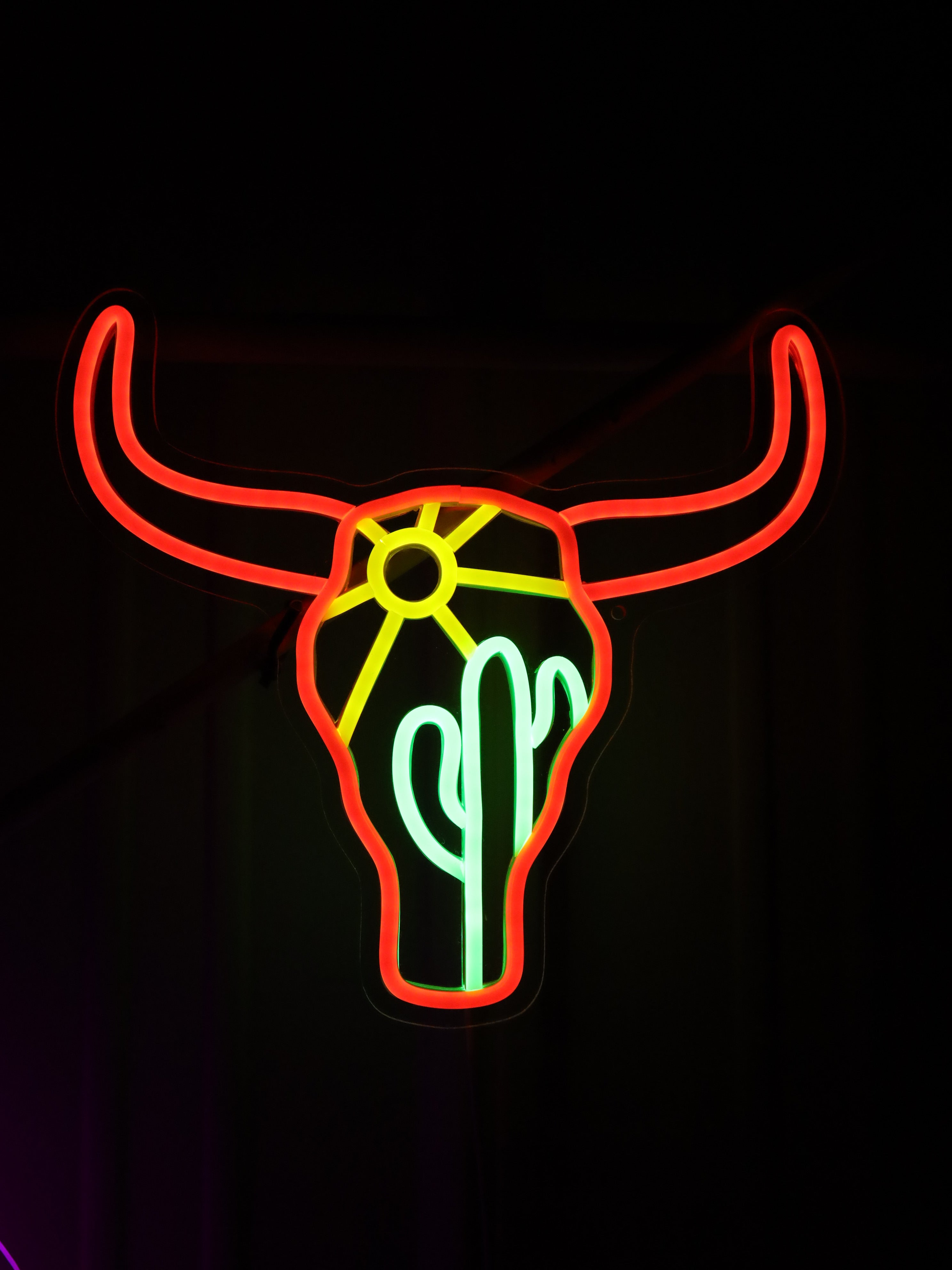 Neon Longhorn & Cactus Sign - Event Rental