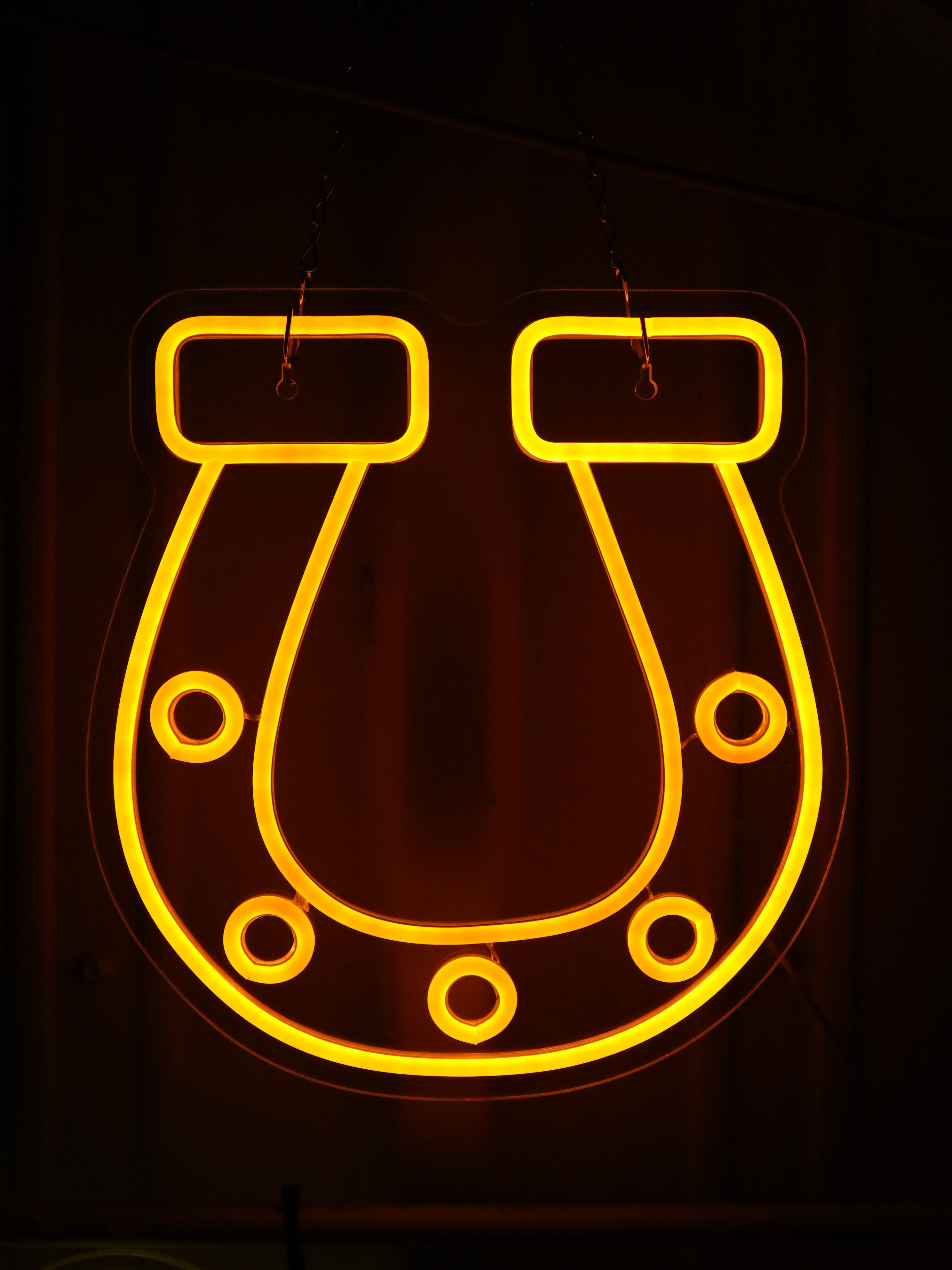 Neon Horseshoe - Event Rental