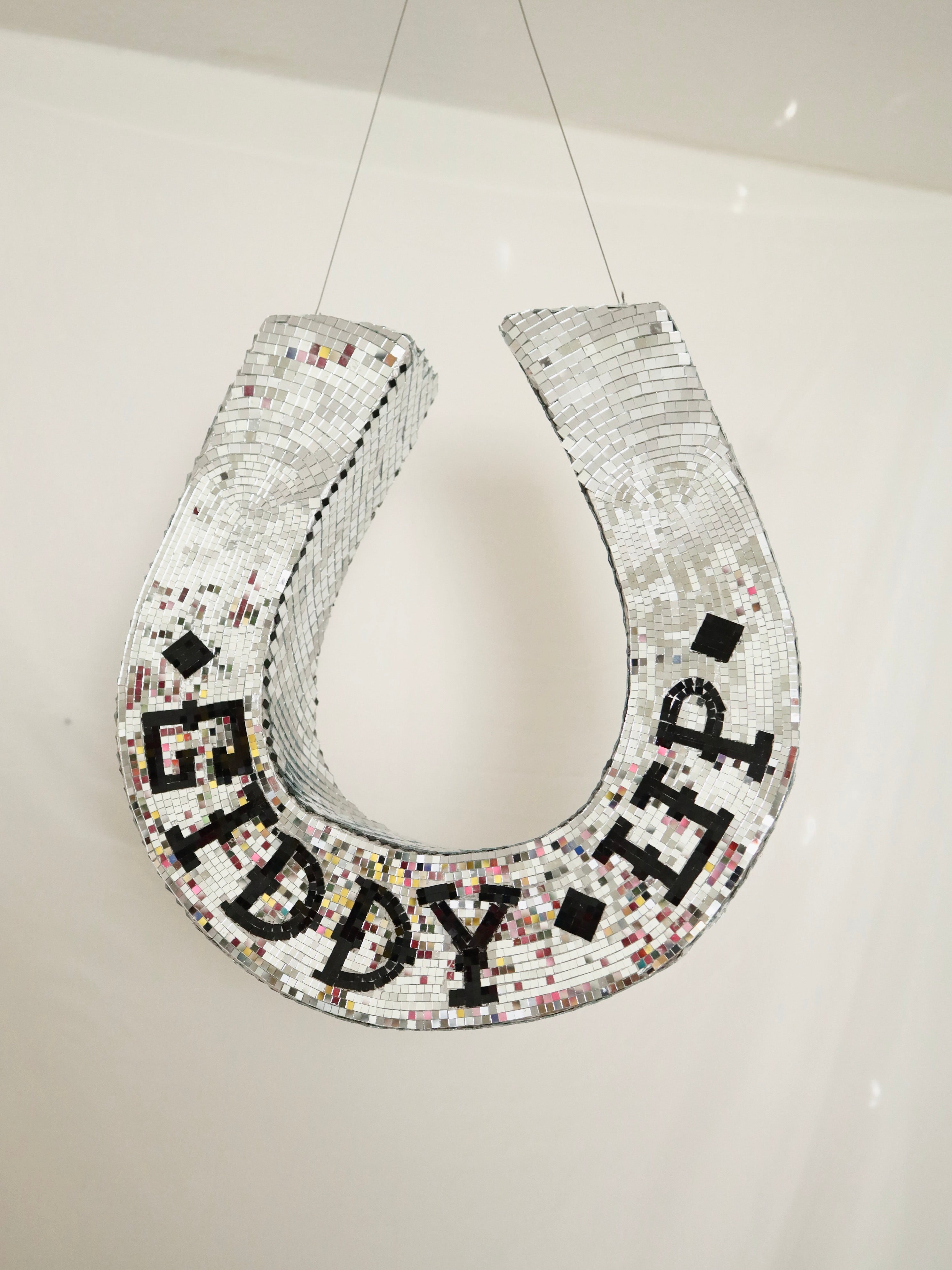 Custom Disco "Giddy Up" Horseshoe