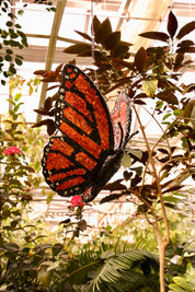 Disco Monarch Butterfly