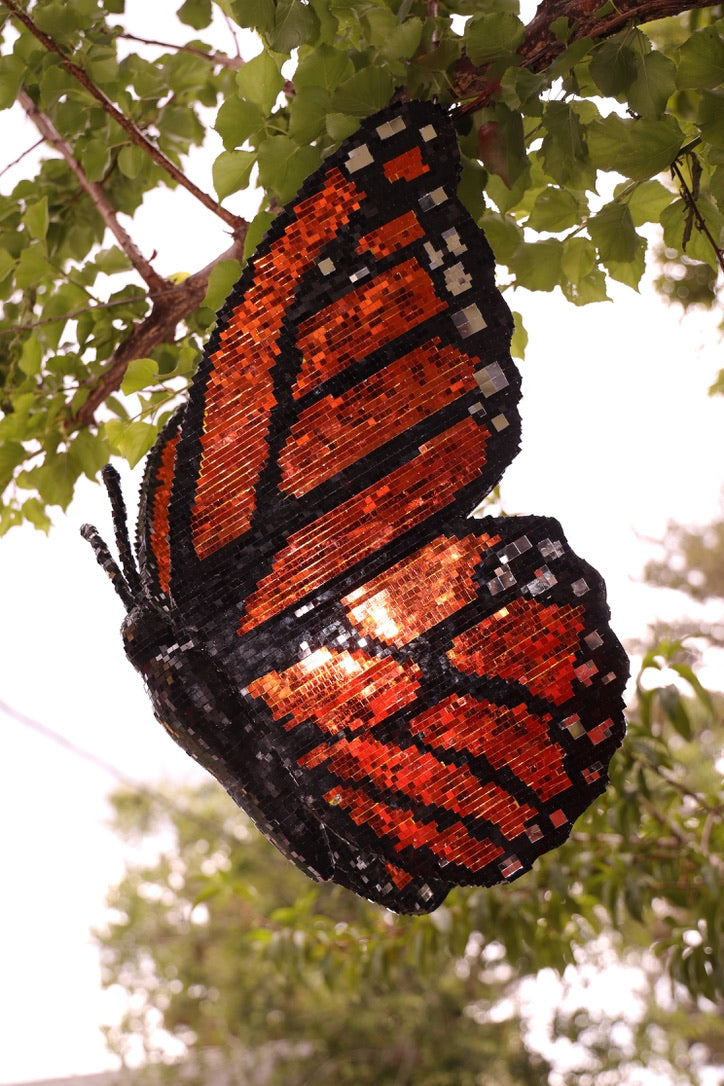 Disco Monarch Butterfly