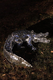 Disco Alligator