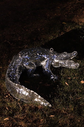 Disco Alligator