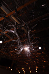 Double Trouble Elk Skulls Disco Ball