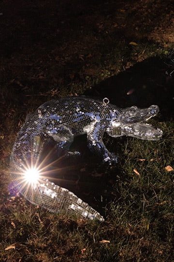 Disco Alligator