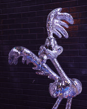 Disco Roadrunner