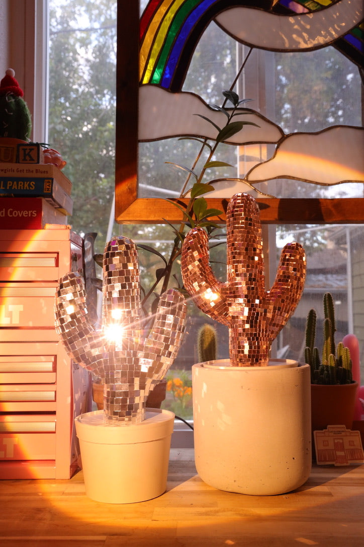 Mini Disco Cactus