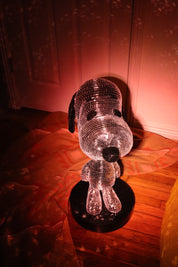 Disco Snoopy