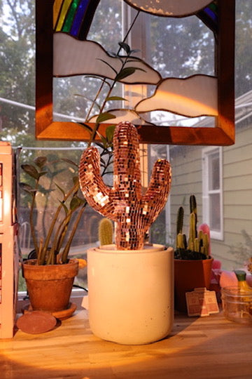 Mini Disco Cactus