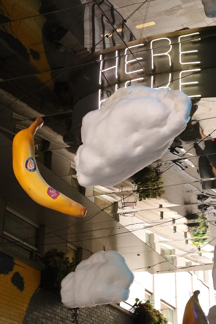 Giant Fruit - Event Rental