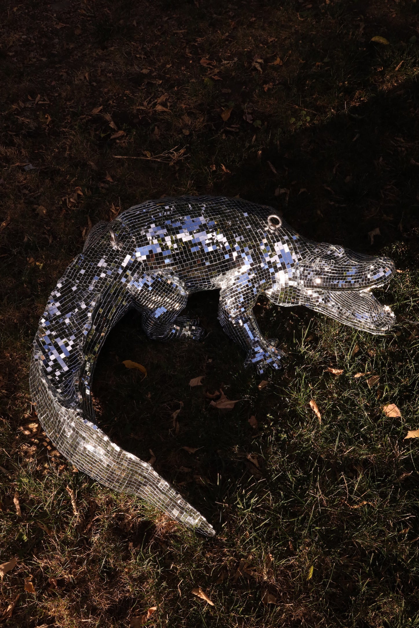 Disco Alligator