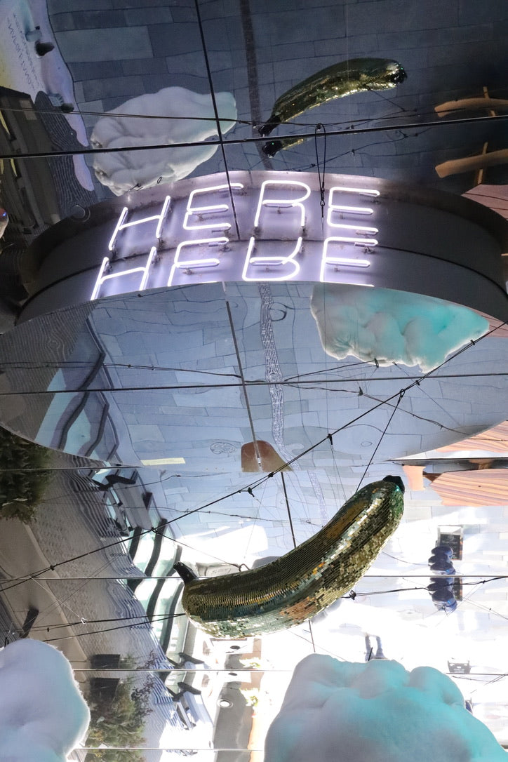 Disco Banana - Event Rental