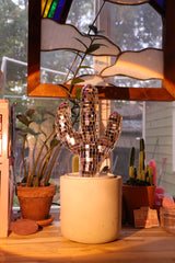 Mini Disco Cactus