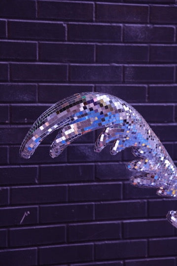 Disco Roadrunner