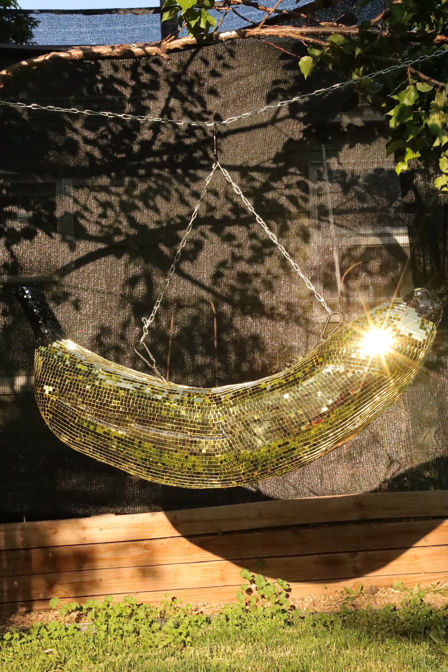 Disco Banana - Event Rental