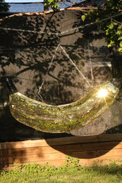 Disco Banana - Event Rental