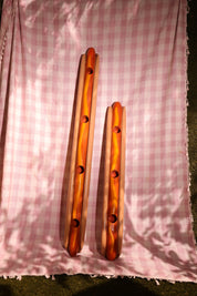 Shotdog Hotdog Shotski - Event Rental