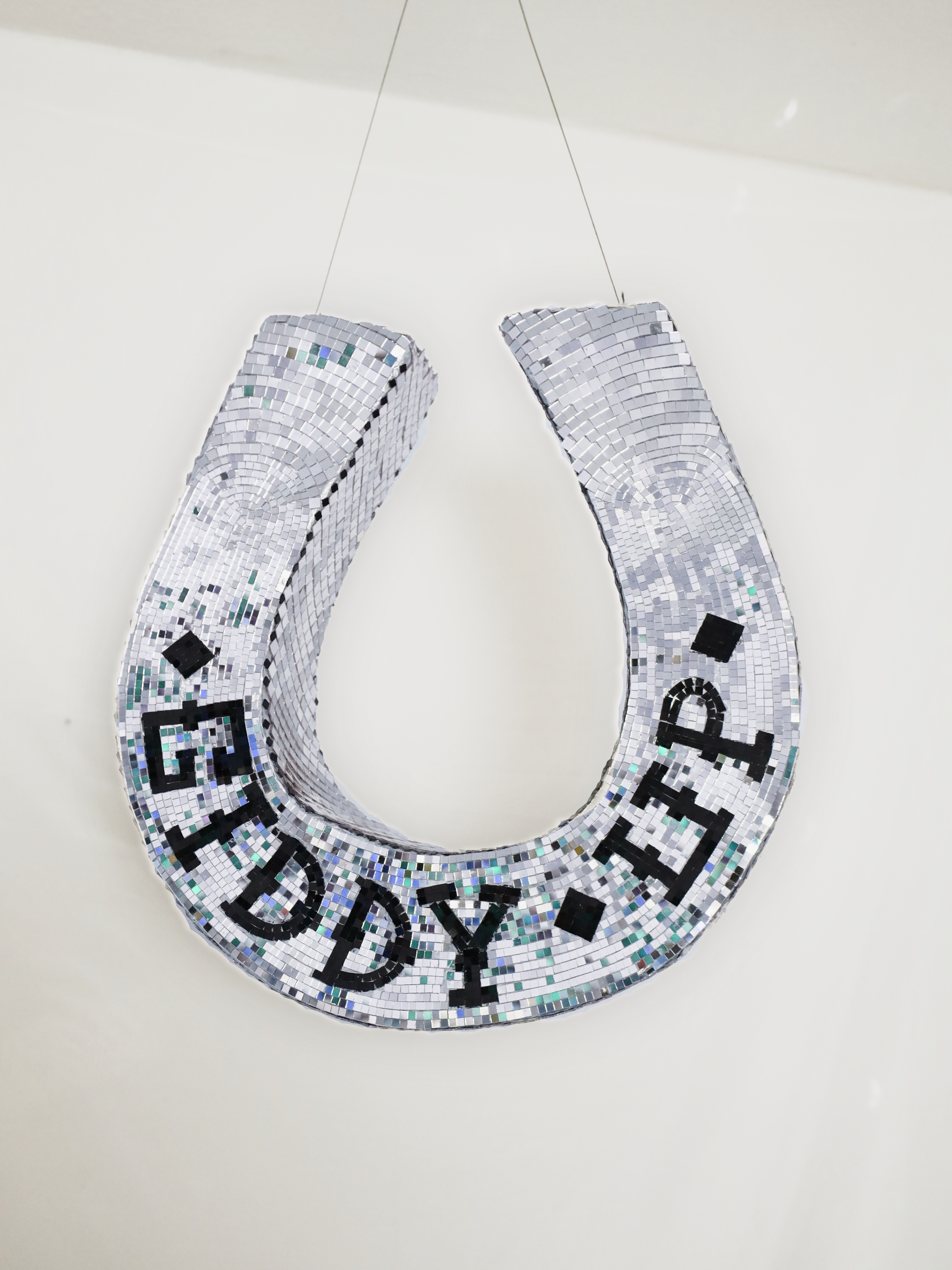 Custom Disco "Giddy Up" Horseshoe