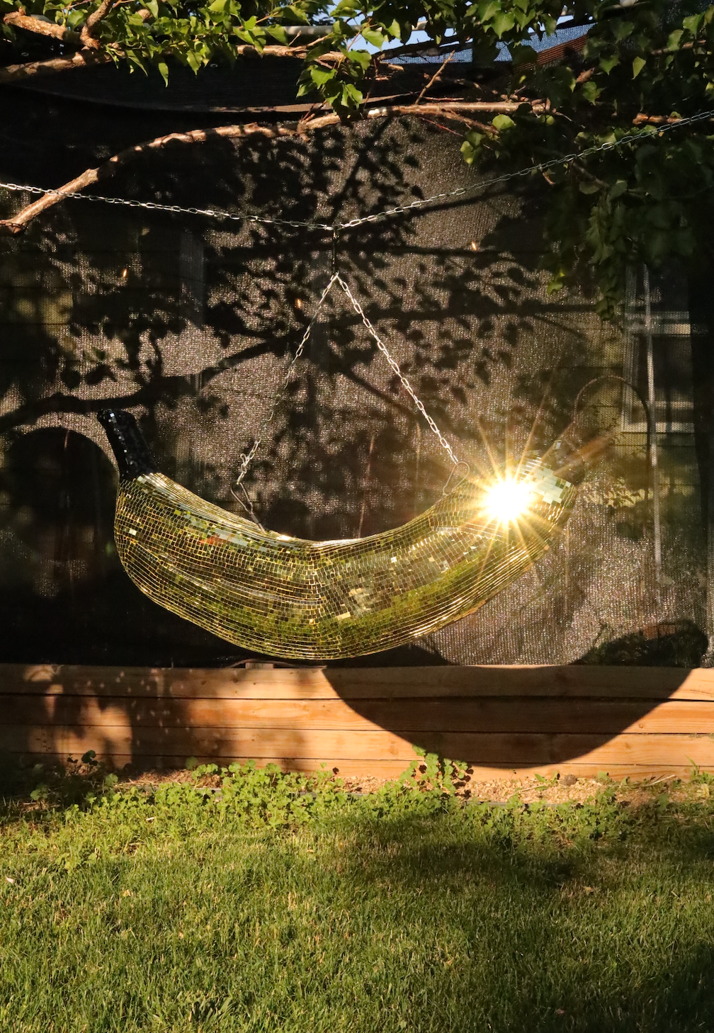 Bananas For You – Ticket to Disco Workshop