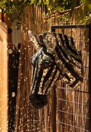 Disco Zebra