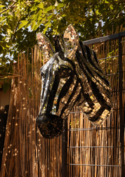 Disco Zebra