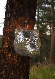 Disco Bear