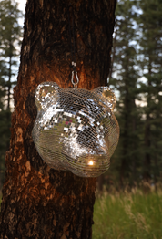 Disco Bear