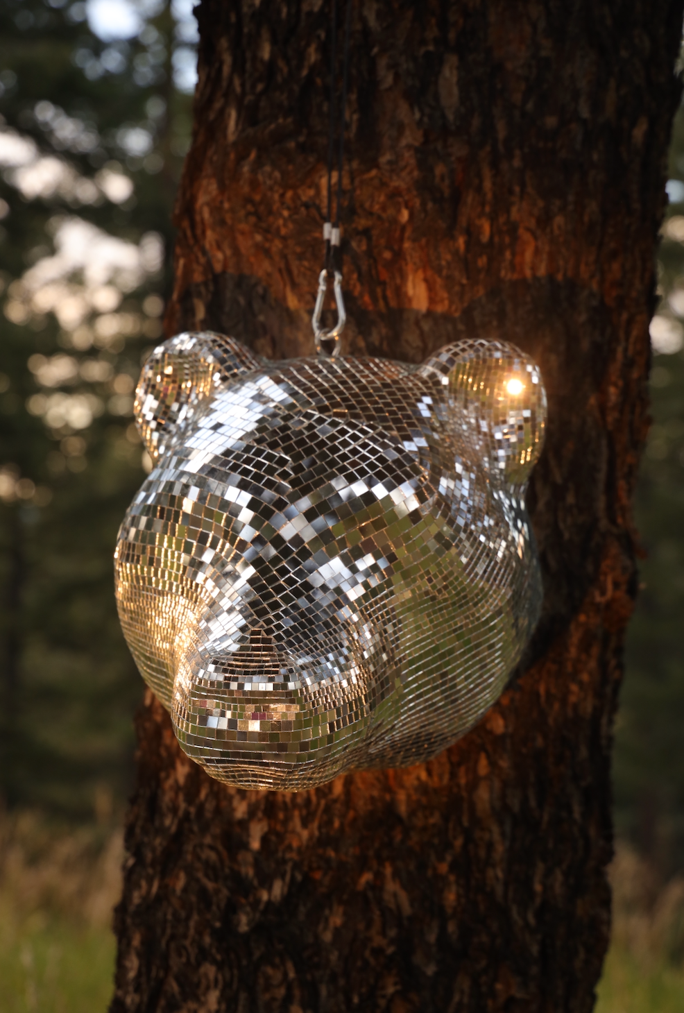 Disco Bear