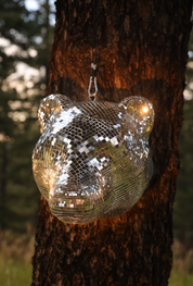 Disco Bear