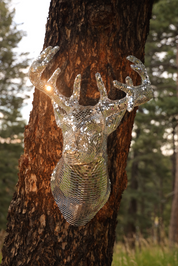 Disco Deer