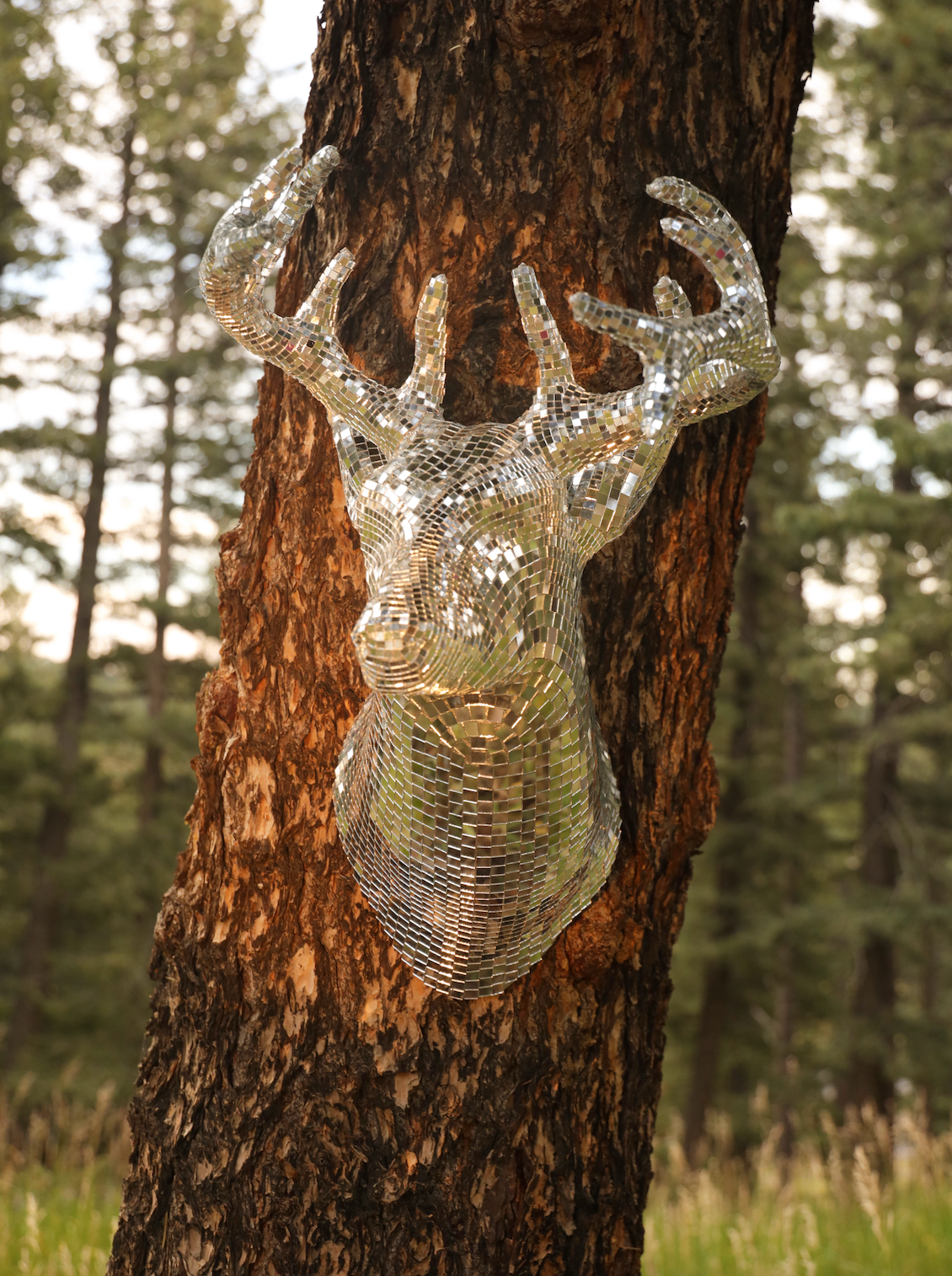 Disco Deer
