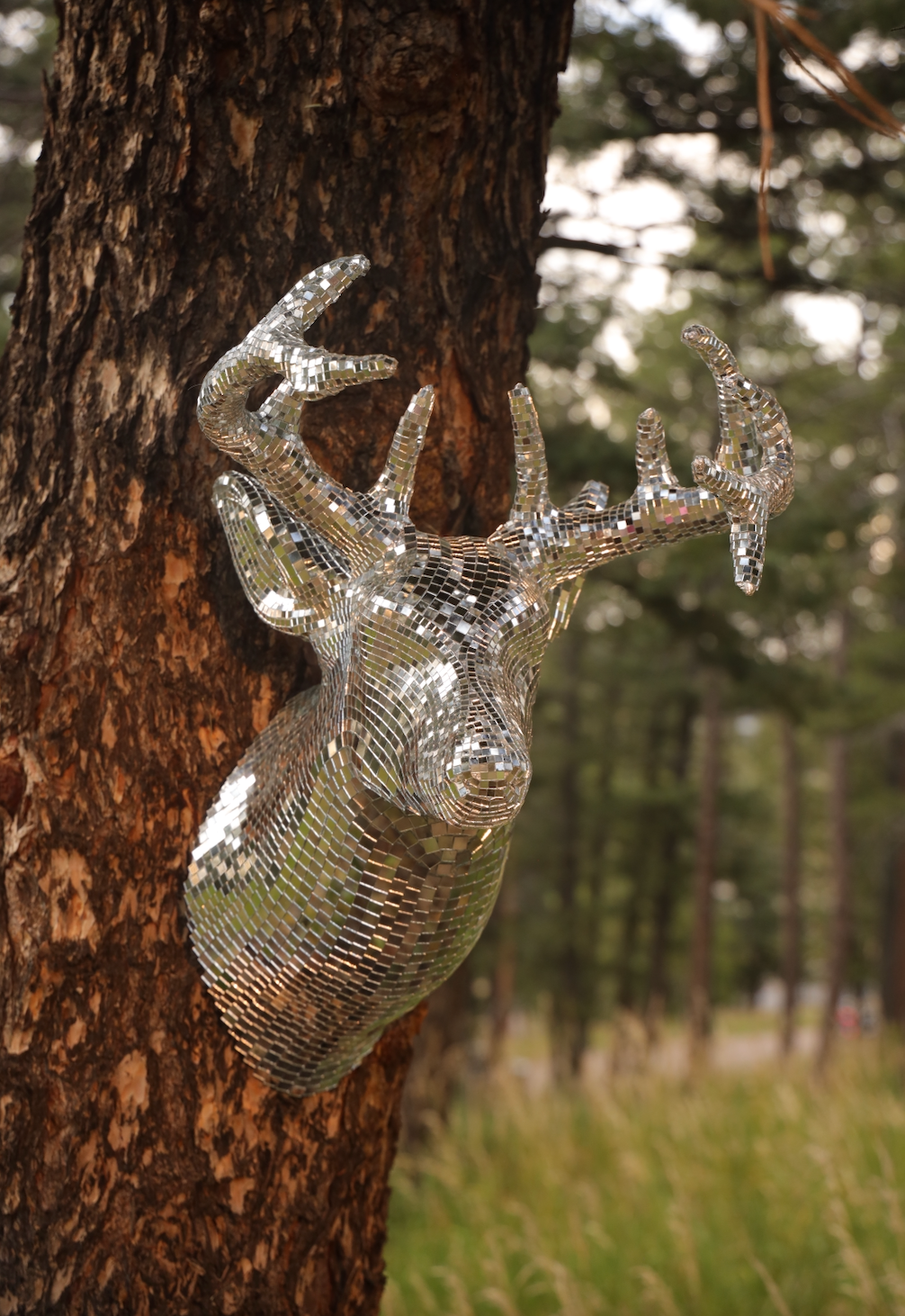 Disco Deer