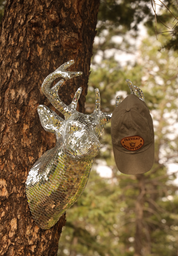 Disco Deer