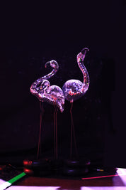 Disco Flamingo