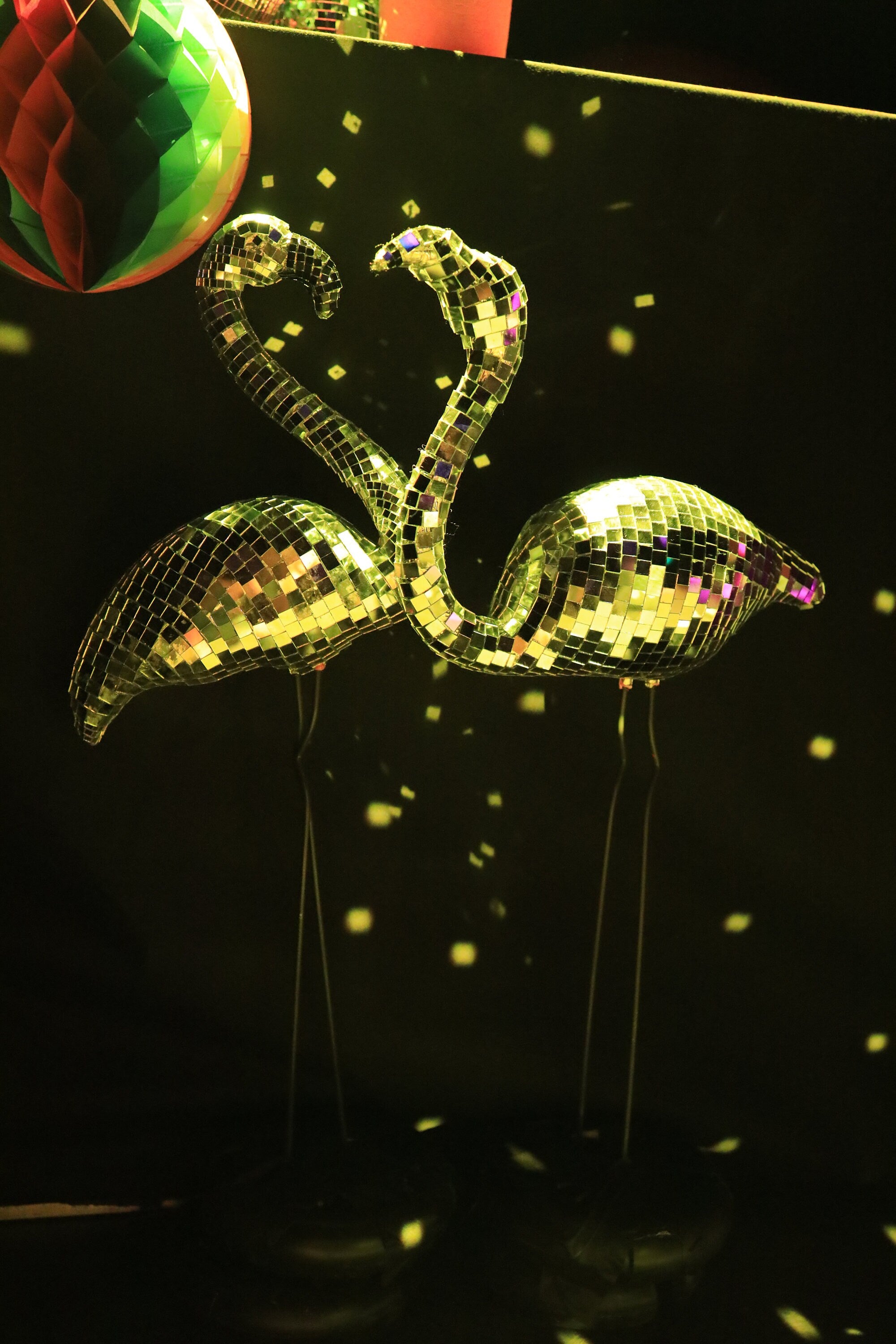 Disco Flamingo