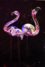 Disco Flamingo